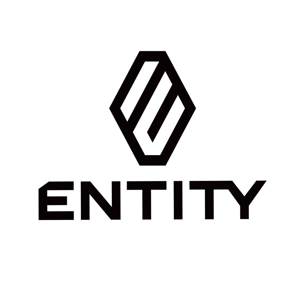 ENTITY